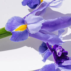 Charming Violet Eau De Toilette 100 ml