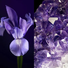 Royal Velvet Firming Night Cream 50 ml