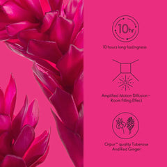 Amplified Parfum All Or Nothing 50 ML