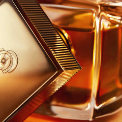 Giordani Gold Essenza Man Elixir Parfum 50 ML