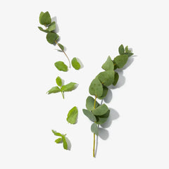 Feet Up Everyday / Refreshing Foot Spray 250 ML