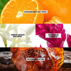 Amplified Parfum All Or Nothing 50 ML