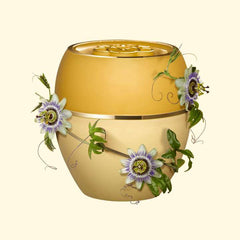 Tender Care Passion Fruit Multi-purpose Balm