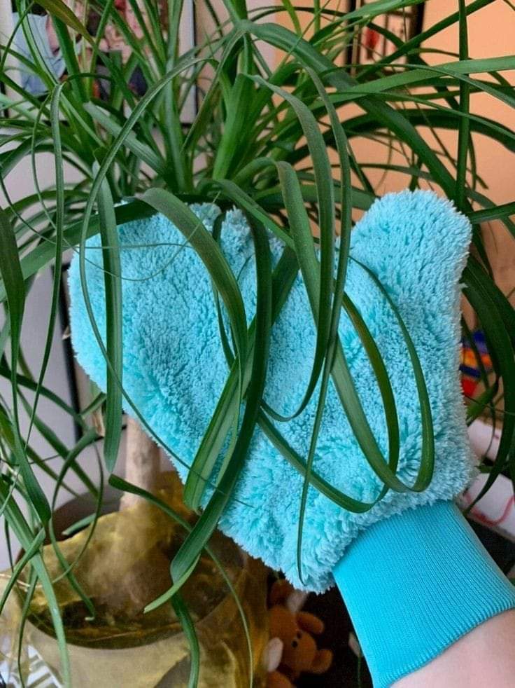 Sweeping Glove (قفاز التراب)