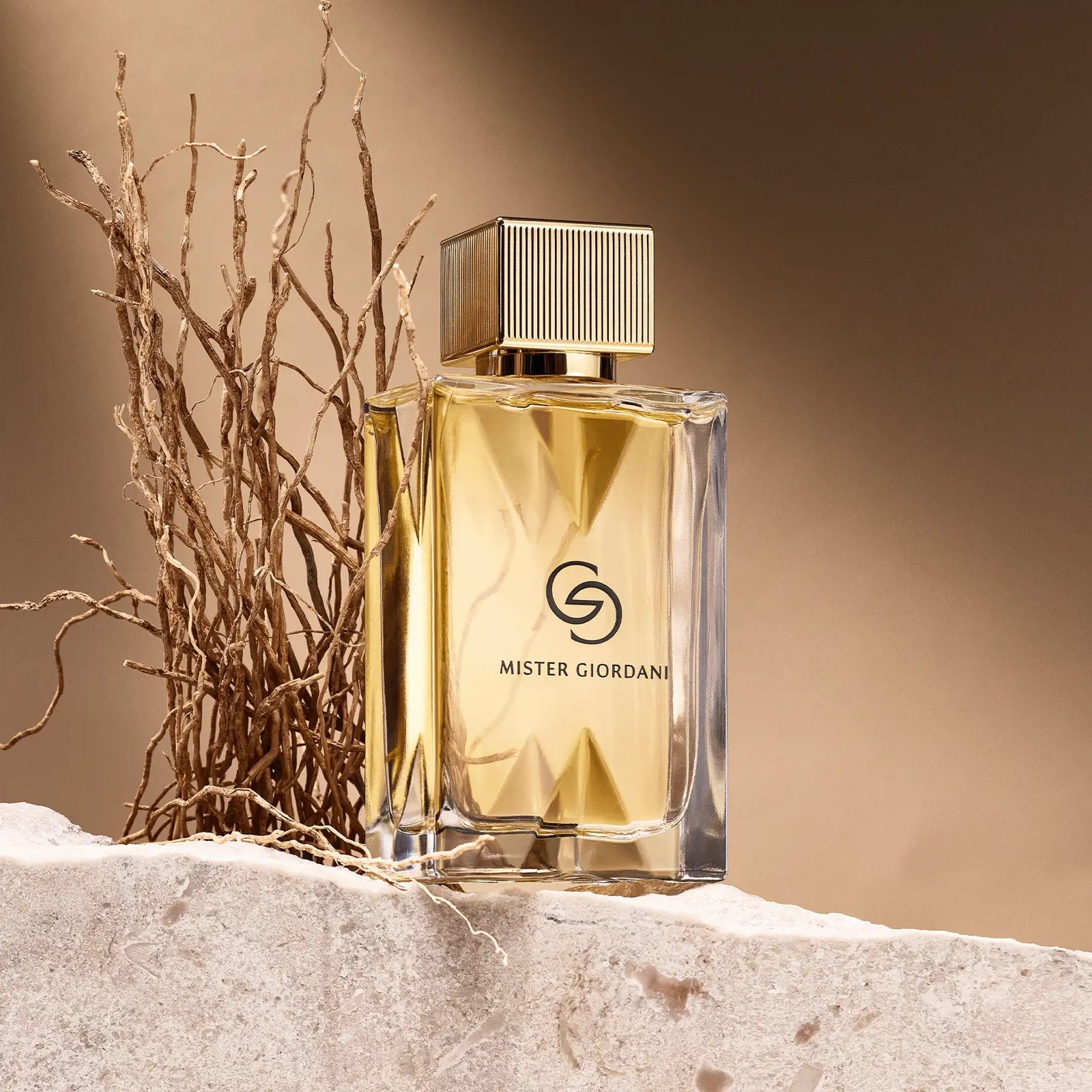 Giordani Gold Mister Giordani Eau de Parfum 75 ml